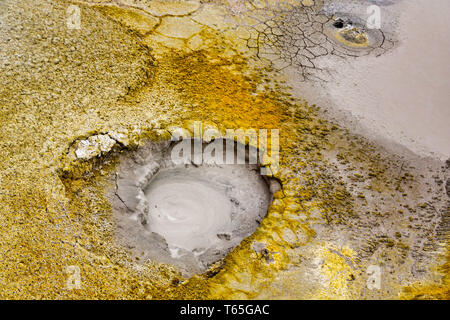 Volcan de boue ou de boue Dome au sol de Ma-ana (soleil du matin) les geysers à Uyuni, Bolivie Banque D'Images