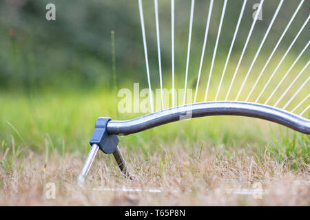 L'irrigation des pelouses sèches de gicleurs oscillants Banque D'Images