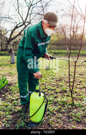 La pulvérisation avec de hauts arbres agriculteur manuel pulvérisateur de pesticides contre les insectes dans le jardin de printemps. Agriculture et jardinage concept Banque D'Images