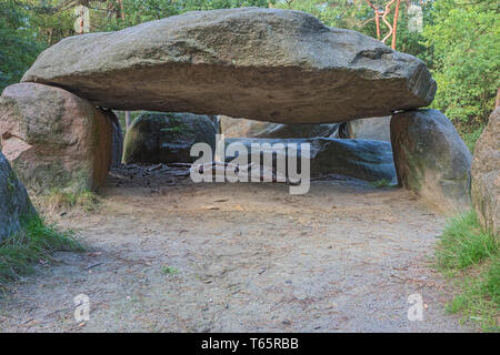 Sous le couvercle à la pierre de Dolmen D45 à proximité d'Emmen Banque D'Images