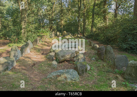 L'intérieur du Dolmen D43 à proximité d'Emmen Banque D'Images