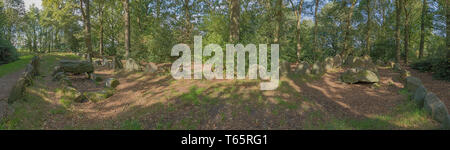 Vue panoramique de Dolmen D43 à proximité d'Emmen Banque D'Images