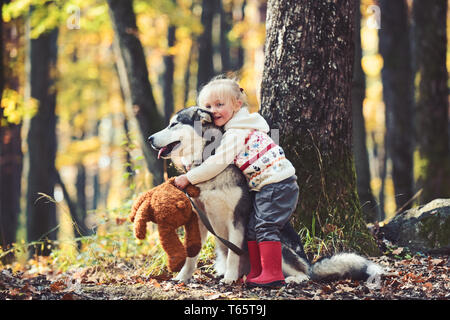 Petite fille chien husky englobant le parc en automne Banque D'Images