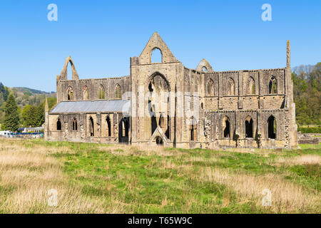 Abbaye de Tintern, Tintern, vallée de la Wye, Monmouthshire, Wales, UK, FR, DE L'Europe Banque D'Images