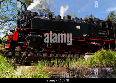 Fer Narrow-Gauge appelé Harzquerbahn, Selketal, Harz, Allemagne Banque D'Images