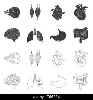 Globe oculaire,sang,musculaire,coeur,cerveau Poumon Estomac,,oeil,organes,plasma,cardiologie,esprit,,trachée,tube,tissu,cornée,cell,,cardiovasculaire,renseignement,pulmonaire intestin gastrique,couches,capot,body,science,douleur,l'artère gastro-intestinaux,structure,biologie,scientifique,recherche,laboratoire,anatomie,organe interne,,médical,des,santé,,set,icône,illustration,isolé,collection,design,élément,graphique,signe,vecteurs vecteur , Illustration de Vecteur