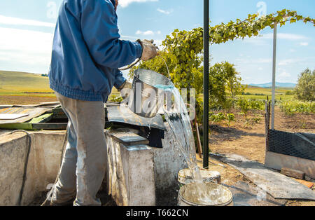 Vêtements de travail avec les agriculteurs tirent l'eau des vieux puits à l'eau le verger d'une ferme écologique au cours d'une journée ensoleillée. Arroser les plantes d'un ecovillage. Banque D'Images