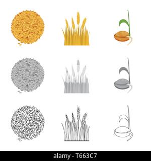 Semences graines,printemps,,spike,grandir,orge,Culture,root, pain, céréales,terrain,blé,campagne,germination germination,or,automne,processus,rural,mûrs,DE,plantation,évolution,avoine,l'agriculture l'agriculture,seigle,usine,blé,maïs,grain,récolte,ferme,,champ,set,icône,illustration,isolé,collection,design,élément,graphique,signe,vecteurs vecteur , Illustration de Vecteur