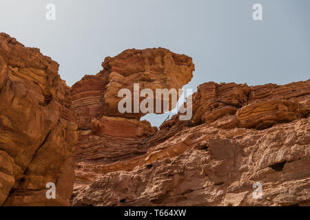 Les roches rouges à timna parc national en Israël Banque D'Images