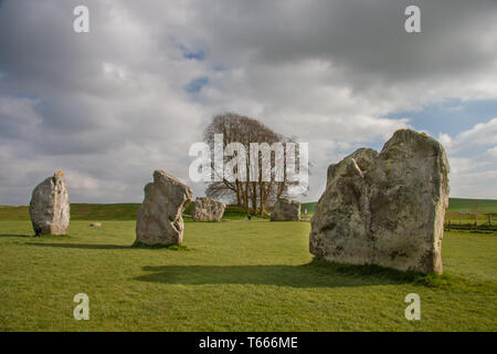 Détails de pierres et ses environs dans la Préhistoire Avebury Stone Circle, Wiltshire, England, UK Banque D'Images