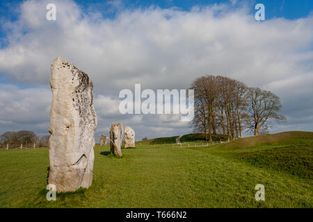 Détails de pierres et ses environs dans la Préhistoire Avebury Stone Circle, Wiltshire, England, UK Banque D'Images