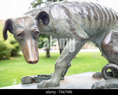 Barcelone, Espagne-28 avril 2019 : Le chien abandonné (El perro abandonado) statue par Artur Aldoma Puig dans la city Zoo Banque D'Images