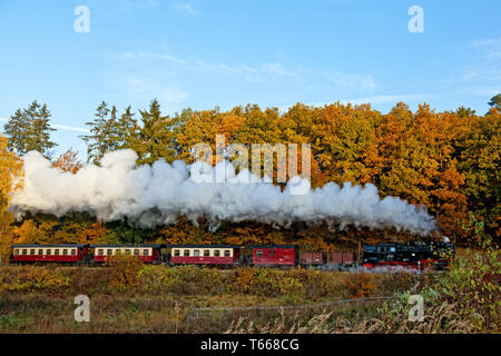 Fer Narrow-Gauge appelé Harzquerbahn, Selketal, Harz, Allemagne Banque D'Images