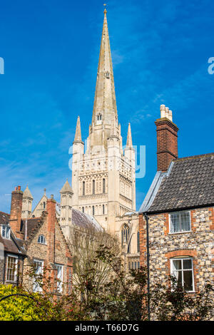 Cathédrale de Norwich dans le centre-ville de Norwich, Norfolk, East Anglia, Angleterre, Royaume-Uni. Banque D'Images