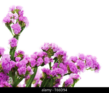 Bouquet de fleurs mauve statice arrangement est Banque D'Images