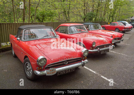 Concors delegance pour Sunbeam Tiger voitures sport. Banque D'Images