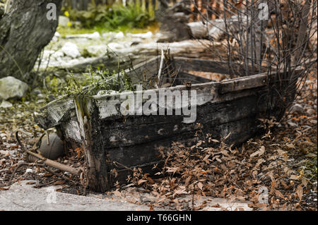 Dernier lieu de vieux bateau dans jardin d'automne. Banque D'Images