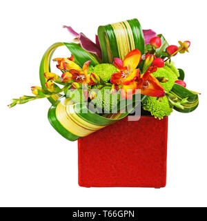 Bouquet d'orchidées en rouge vase isolé sur fond blanc Banque D'Images