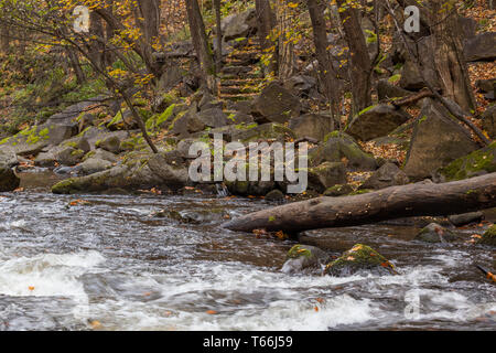 Creek dans la vallée de Bodetal Bode, Harz, Allemagne Banque D'Images