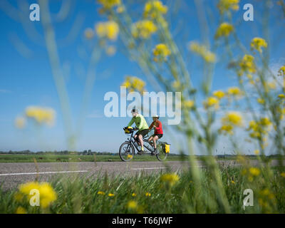 Maarssen, Pays-Bas, 24 avril 2019 : Promenades en couple on country road tandem sous ciel bleu au printemps vu par fleurs jaunes dans les Pays-Bas Banque D'Images