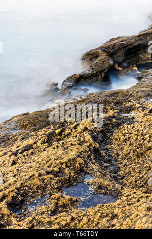 Trois longues expositions focus empilé de la mer aux côtés des roches couvertes de balanes chez Montana Amarilla, la montagne jaune, Tenerife, Canaries, Espagne Banque D'Images