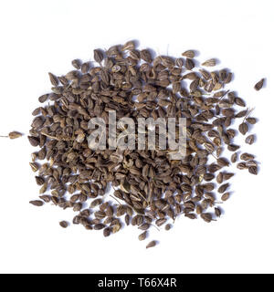 [Anis Pimpinella anisum] Banque D'Images