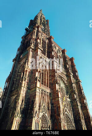 La tour de la Cathédrale Catholique Notre Dame de Strasbourg en Alsace, France. Belle journée ensoleillée avec ciel bleu clair. Architecture gothique majestueux Banque D'Images