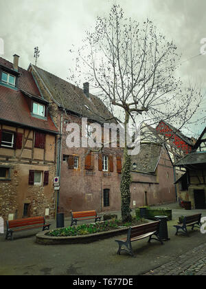 Eguisheim place du village avec des maisons médiévales à colombages le long en Alsace, France. Un arbre entouré de bancs et d'anciens bâtiments. Banque D'Images