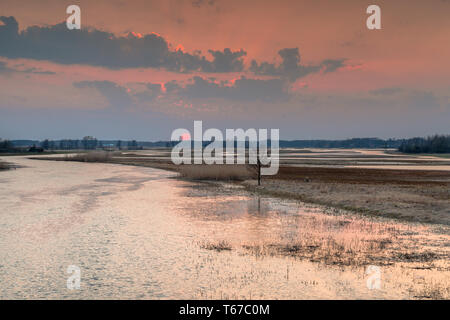 La Vallée de Biebrza (Pologne). Coucher de soleil sur les prairies humides. Banque D'Images