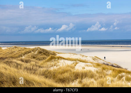 L'île de Juist, Mer du Nord Frise orientale, la plage, les Dunes paysage, Basse-Saxe, Allemagne, Banque D'Images