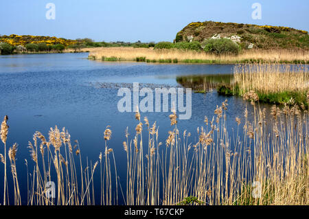 Un hors de la façon dont les milieux humides de la vallée du lac à la réserve RSPB. Banque D'Images