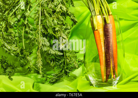 Arc-en-ciel fraîche de carottes dans un vase sur fond vert Banque D'Images