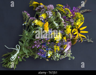 Les plantes officinales, plantes médicinales, l'arrangement Banque D'Images