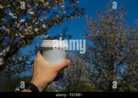 La main avec tasse de café en papier coloré - Fleur de cerisier sakura dans un parc à Riga, capitale de l'Europe de l'Est de la Lettonie - couleurs magenta et rose Banque D'Images