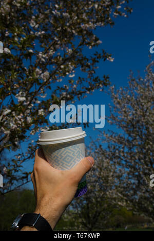 La main avec tasse de café en papier coloré - Fleur de cerisier sakura dans un parc à Riga, capitale de l'Europe de l'Est de la Lettonie - couleurs magenta et rose Banque D'Images