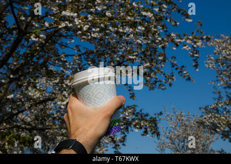 La main avec tasse de café en papier coloré - Fleur de cerisier sakura dans un parc à Riga, capitale de l'Europe de l'Est de la Lettonie - couleurs magenta et rose Banque D'Images