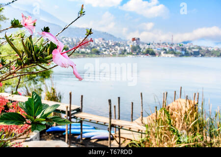 Hibiscus fleurs en premier plan avec jetty, canoës & Lac Atitlan derrière & ville de Santiago Atitlan, Guatemala en arrière-plan. Banque D'Images
