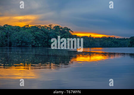 Coucher du soleil par un lagon à l'intérieur du parc national Yasuní, forêt amazonienne, en Equateur. Banque D'Images