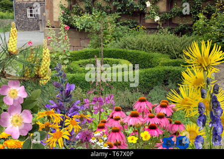 Les plantes officinales, plantes médicinales, l'arrangement Banque D'Images