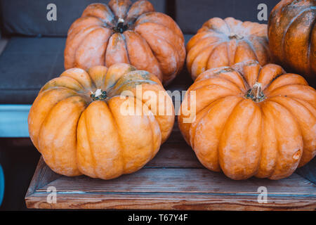 De nombreuses grandes citrouilles orange sur la place . Automne décoration de la rue. Banque D'Images