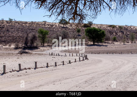 Dans transfontier Kgalagadi park road Banque D'Images