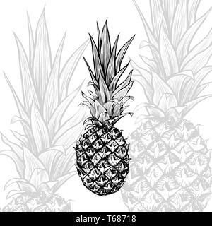 L'Ananas hand drawn vector illustration. Fruits tropicaux croquis stylo encre de texture. Clipart monochromes de plantes exotiques. Schéma d'encombrement du freehand réaliste. Carte de vœux, élément de design isolé de l'affiche Illustration de Vecteur