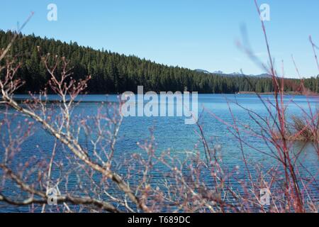 Lac clair dans la forêt nationale de Willamette en Oregon, USA. Banque D'Images