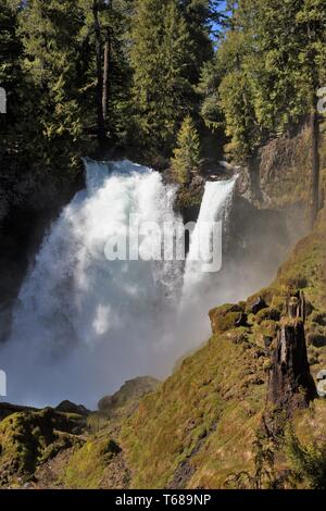 Sahalie Falls, dans la forêt nationale de Willamette en Oregon, USA. Banque D'Images