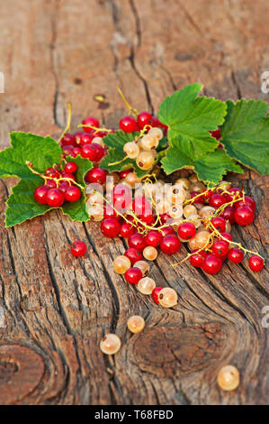 Groseille rouge et blanc et vert feuilles sur fond de bois. Banque D'Images