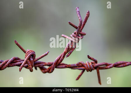 Macro photographie d'un morceau de fil de fer barbelé rouillé utilisés dans des clôtures à la campagne de la Communauté andine montagnes du centre de la Colombie. Banque D'Images