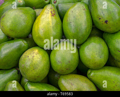 Close-up d'un tas d'avocats, photographié au traditionnel marché local de la ville coloniale de Villa de Leyva, dans les montagnes andines de centra Banque D'Images