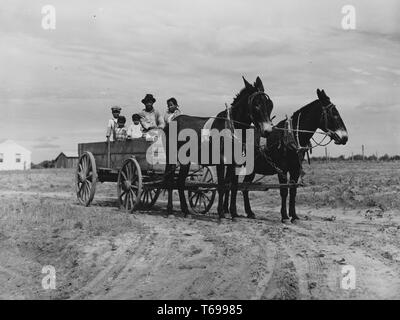 Photographie noir et blanc, d'un homme (Ben Turner), sa femme et leurs trois jeunes garçons assis ensemble, face caméra, dans l'arrière d'un chariot ou panier qui est exploitée pour une paire d'ânes, avec les terres agricoles et les deux bâtiments en bois peu visible à l'arrière-plan ; situé dans le Flint River Farms, Georgia, USA ; photographié par Marion Poster Walcott, sous le parrainage des membres de l'Administration de la sécurité à la ferme, Mai, 1939. À partir de la Bibliothèque publique de New York. () Banque D'Images