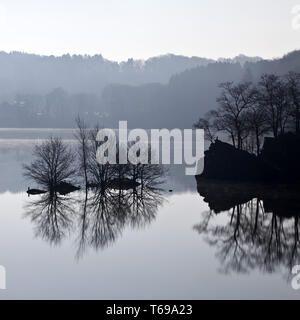 Wuppertalsperre, Remscheid, région du Bergisches Land, Rhénanie du Nord-Westphalie, Allemagne, Europa Banque D'Images