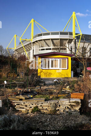 Spécial jardin en face de stade de football Signal Iduna Park de BVB, Dortmund, Allemagne Banque D'Images